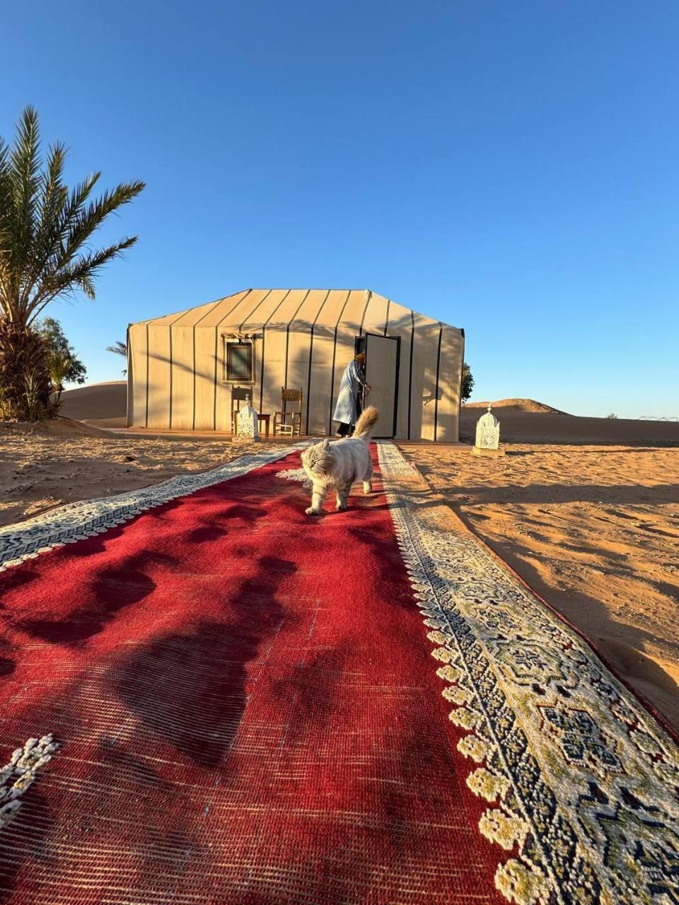 Nomad Camp Мерзуга Экстерьер фото